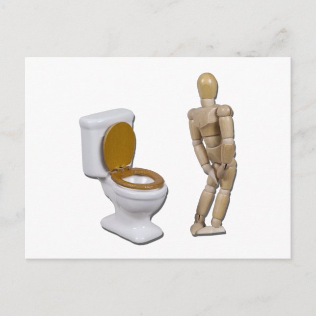 Carte Postale ModelInNeedNextToToilet121611 (Devant)