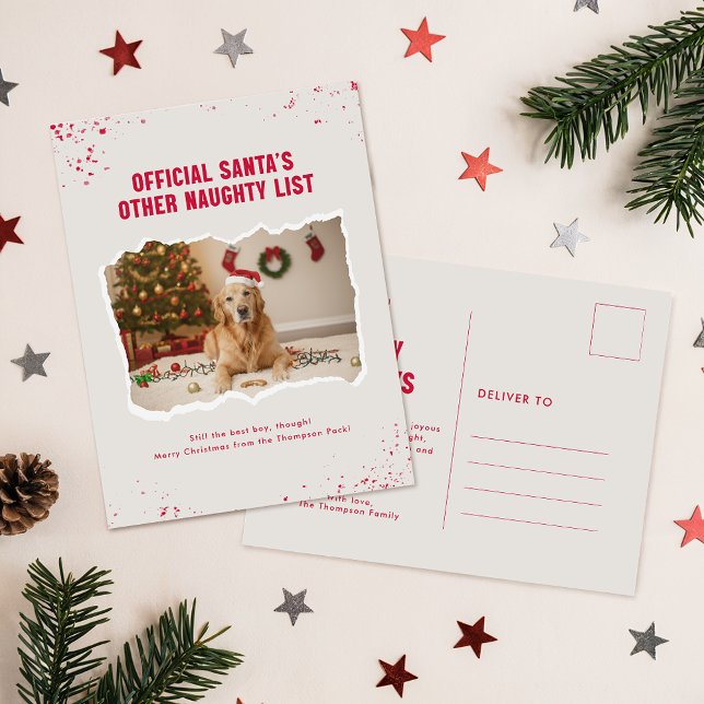 Carte Postale Modern Humor Funny Photo Dog Christmas Postcard (Créateur téléchargé)