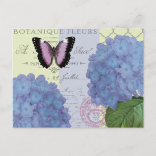 Carte Postale modern vintage hydrangea and butterfly