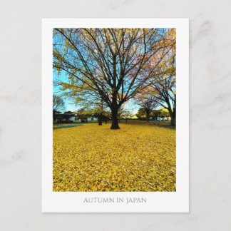 Carte Postale Modern Vintage Mt Fuji Japan Autumn Gold Ginkgo Ph