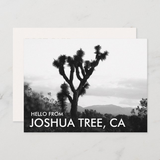 Carte Postale Moderne Bonjour en noir et blanc de Joshua Tree (Devant / Derrière)