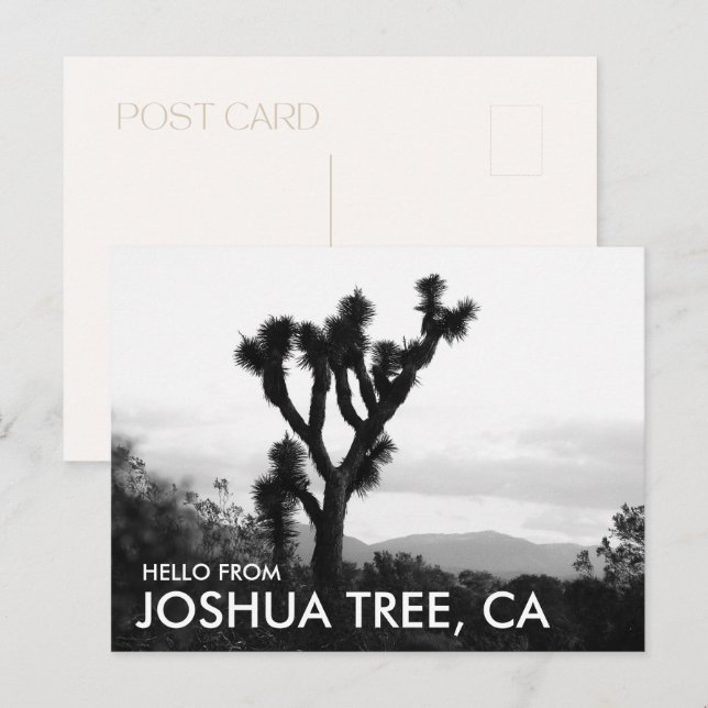 Carte Postale Moderne Bonjour noir et blanc de Joshua Tree (Devant / Derrière)