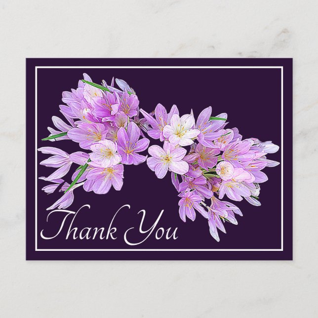 Carte Postale Moderne Crocus Floral Rose Violet Joli Merci (Devant)