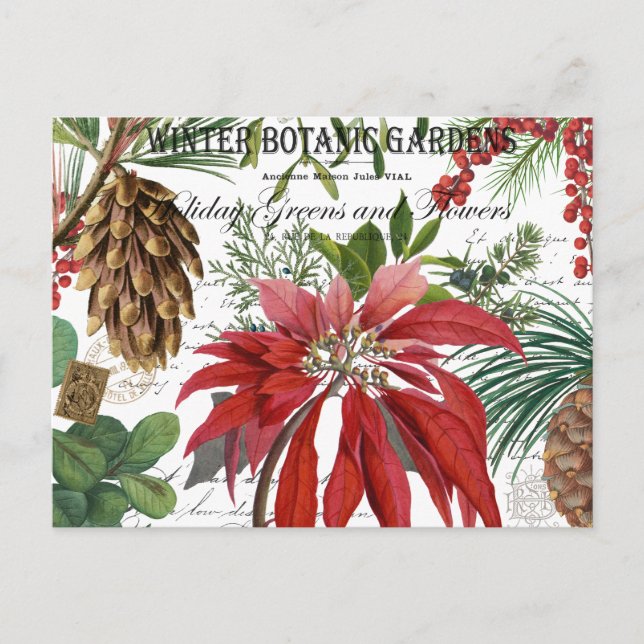 Carte Postale Moderne vintage jardin d'hiver fleuri (Devant)