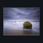 Carte Postale Moeraki Boulders Sunrise Seascape<br><div class="desc">Moeraki rochers lever de soleil</div>