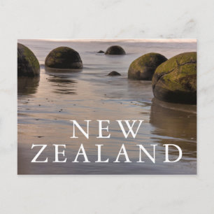 Carte Postale Moeraki Boulders sur la plage