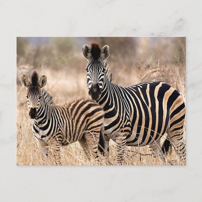 Carte Postale Moi et maman (Devant)