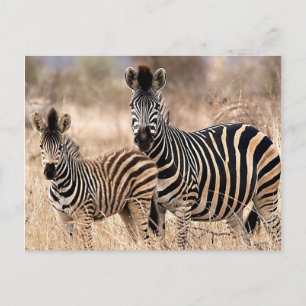 Carte Postale Moi et maman