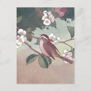 Carte Postale Moineau dans un pommier en fleurs
