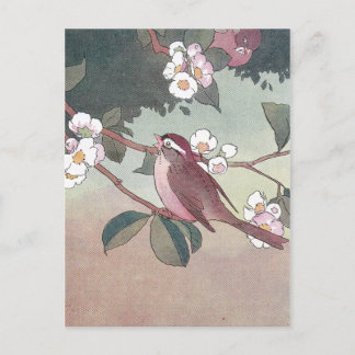 Carte Postale Moineau dans un pommier en fleurs
