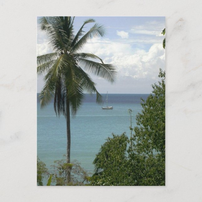 Carte Postale Moira à l'ancre, Bahia Drake, Costa Rica (Devant)