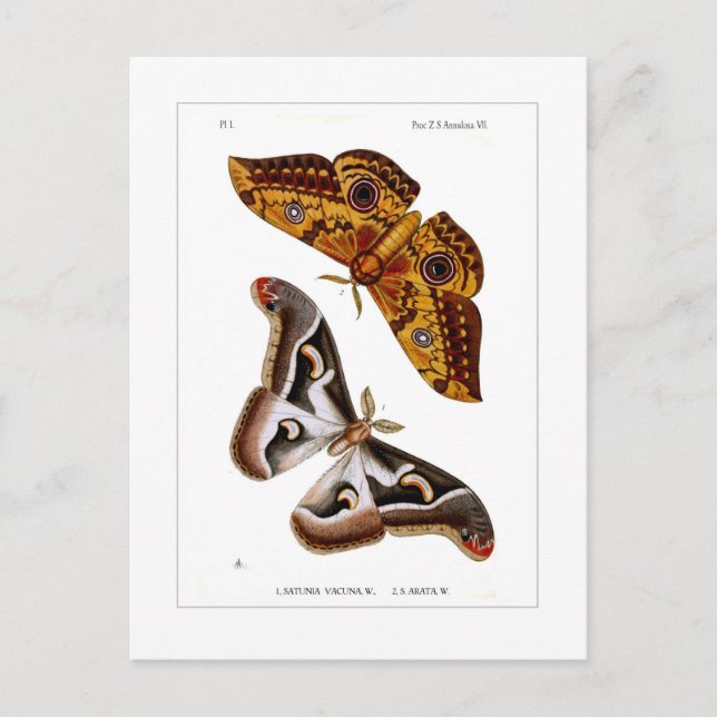 Carte Postale Mois (Devant)