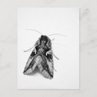 Carte Postale Mois noir et blanc