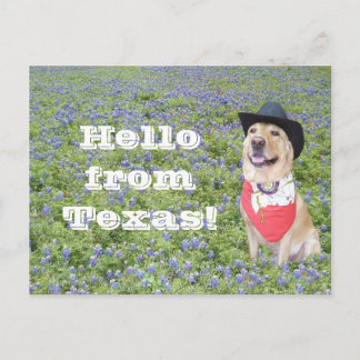 Carte Postale Moïse dans Bluebonnets