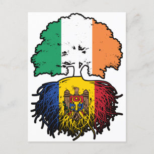 Carte Postale Moldava Moldavie Irlande Irlande Arbre Drapeau