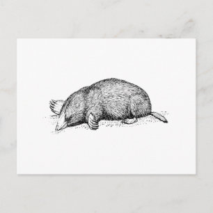 Carte Postale Mole