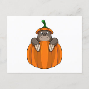 Carte Postale Mole avec Citrouille