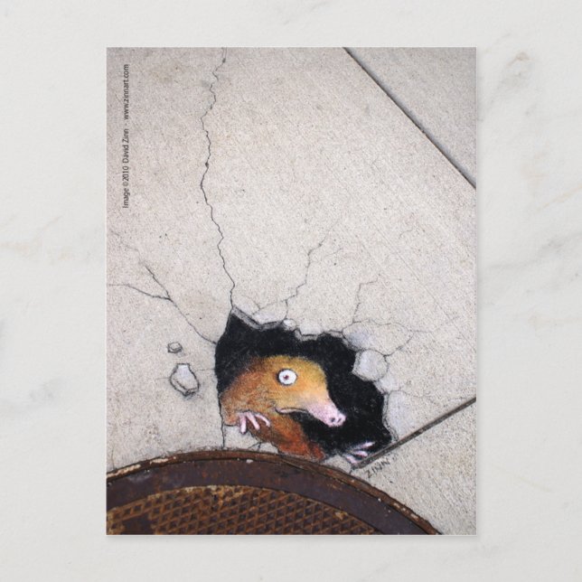 Carte Postale mole maladroite (Devant)