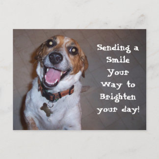 Carte Postale Molly Sourit !