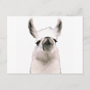 Carte Postale Moma Llama