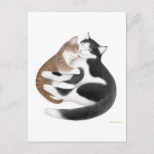 Carte postale Momcat