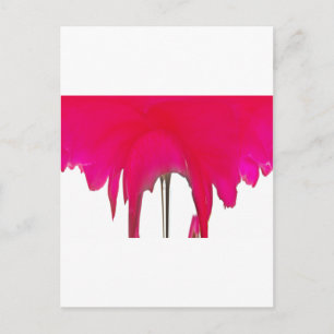 Carte Postale Moment capturé : Une Élégance Pétale Rose Rouge