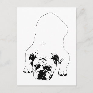 Carte Postale Moment de détente