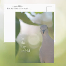 Moment de l'oiseau silencieux – Laissez la journée