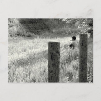 Carte Postale Moment de paix