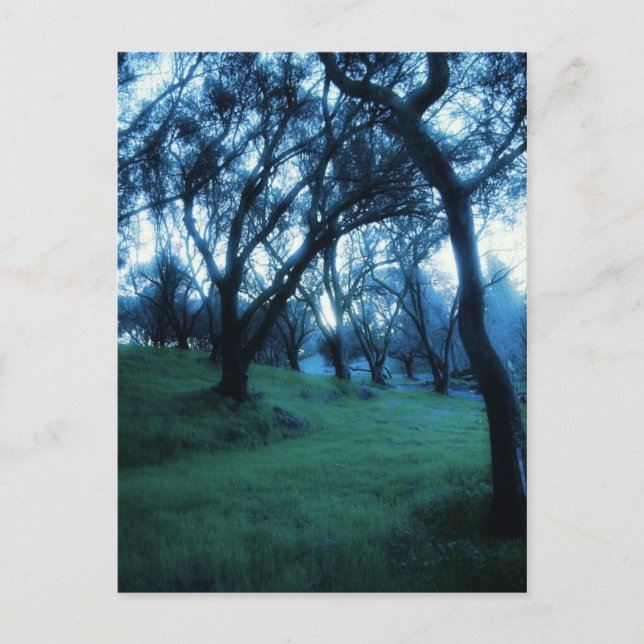 Carte Postale Moment éthérique (Devant)