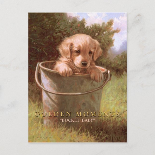 CARTE POSTALE MOMENTS D'OR (Devant)