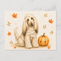 Momie de Lévrier Afghan Halloween