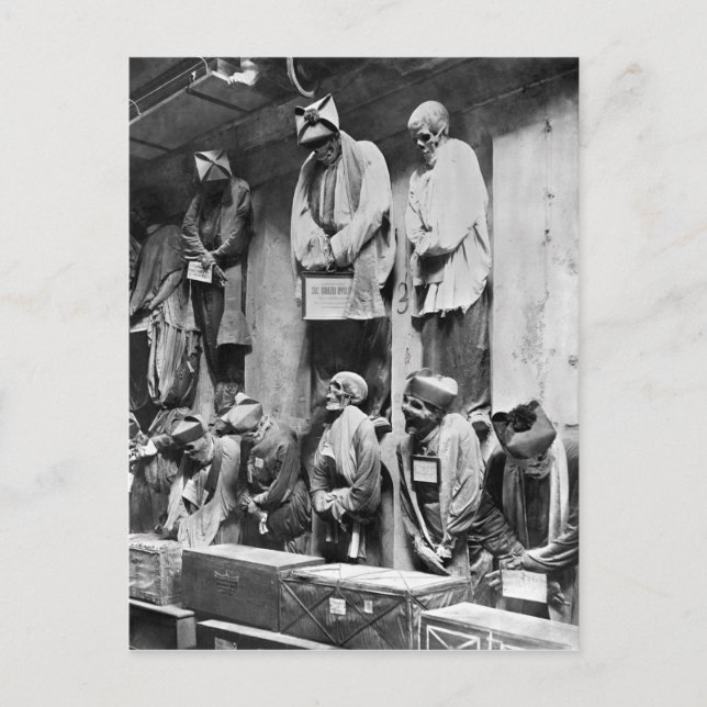 Carte Postale momies de catacombes à Palerme, Italie (Devant)