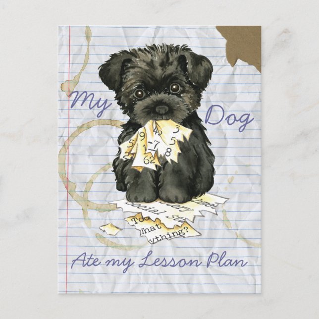 Carte Postale Mon Affenpinscher A Mangé Mon Plan De Leçon (Devant)