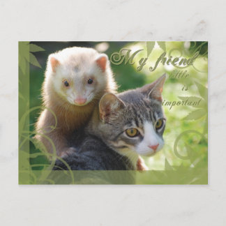 Carte Postale Mon ami