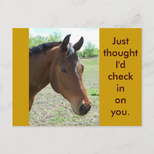 Carte Postale Mon Ami, Le Cheval