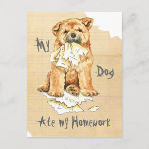 Carte Postale Mon Chow Chow A Mangé Mes Devoirs
