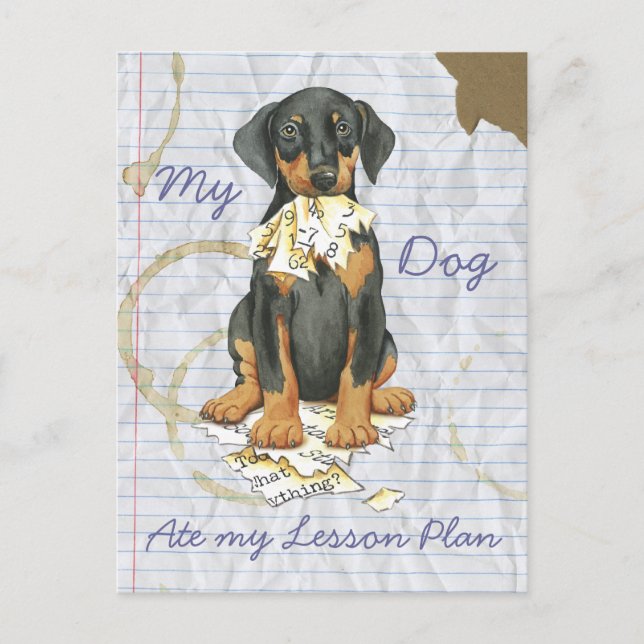 Carte Postale Mon Doberman A Mangé Mon Plan De Leçon (Devant)