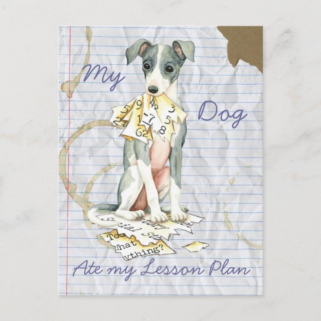 Carte Postale Mon Greyhound italien a mangé mon plan de leçon (Devant)