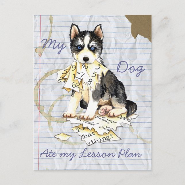 Carte Postale Mon Husky a mangé mon plan de leçon (Devant)