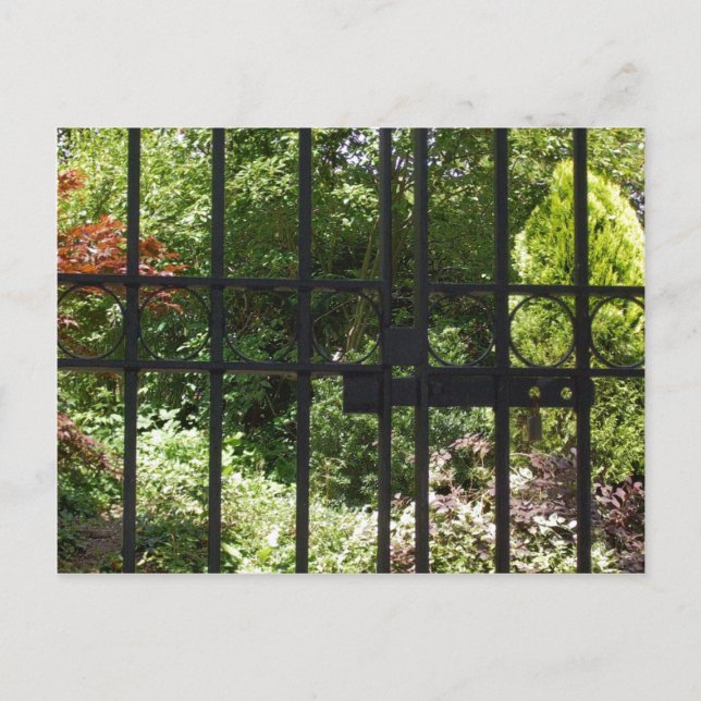 Carte Postale Mon jardin secret (Devant)