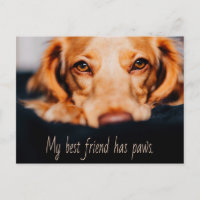 Mon meilleur ami a des pattes de chien, Puppy Meme