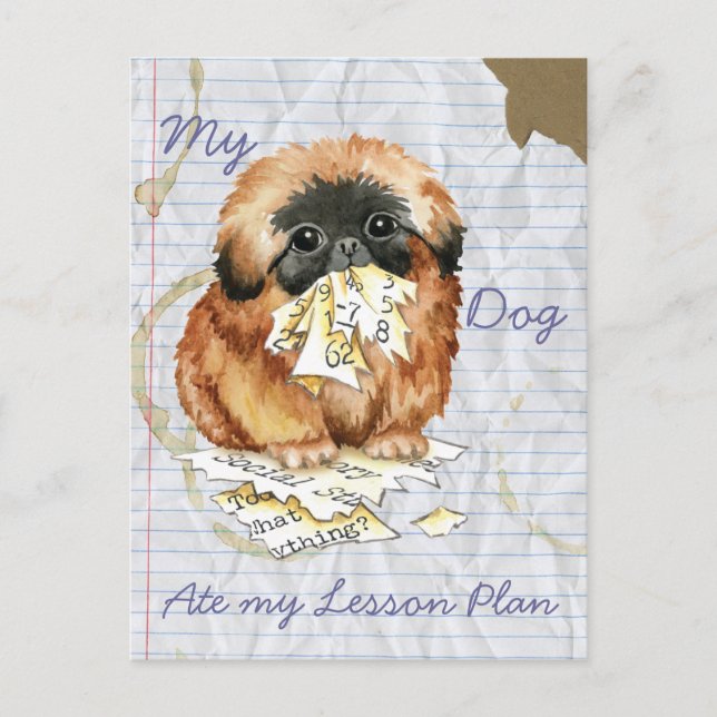 Carte Postale Mon Pekingese Mange mon plan de leçon (Devant)