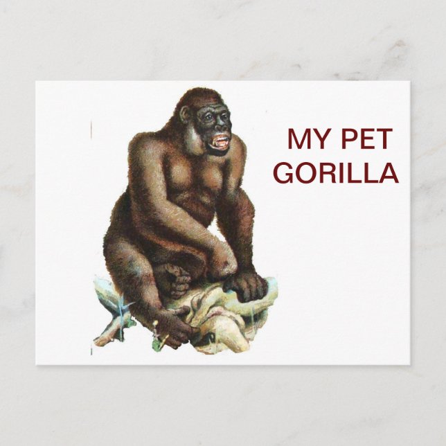 CARTE POSTALE MON PET GORILLA (Devant)