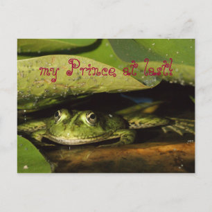 Carte Postale mon Prince à dernier !