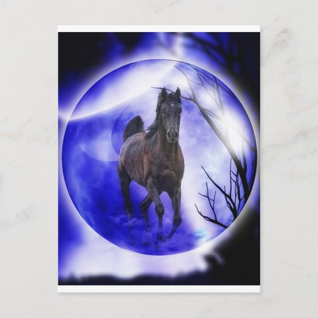 Carte Postale Mon rêve (Devant)