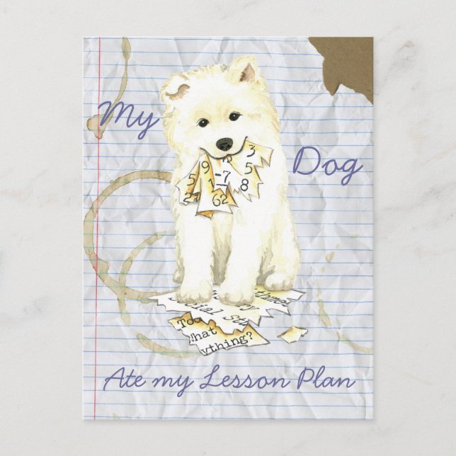 Carte Postale Mon Samoyed Ate mon plan de leçon (Devant)