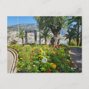 Carte Postale Monaco