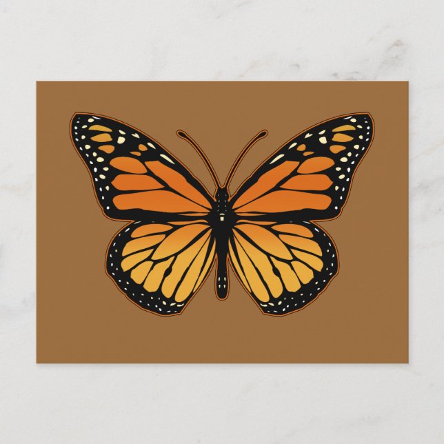Carte Postale Monarch Butterfly (Devant)