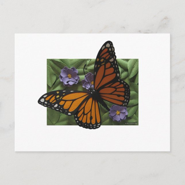 Carte postale Monarch Butterfly (Devant)